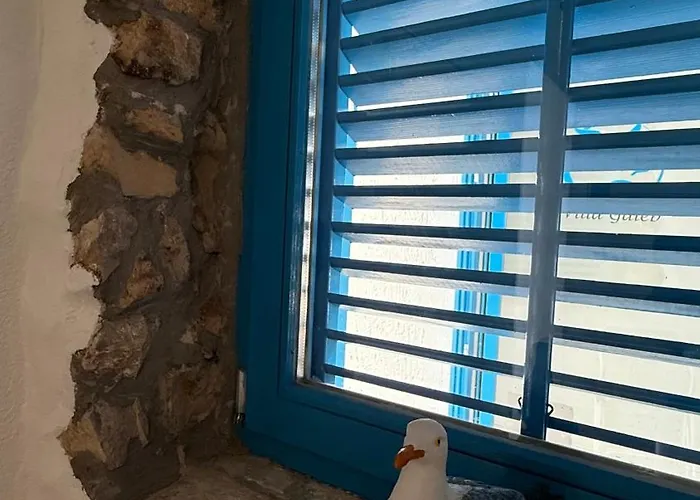 דירה Galeb סלצה